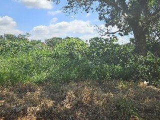 Imagem do imóvel TE43217