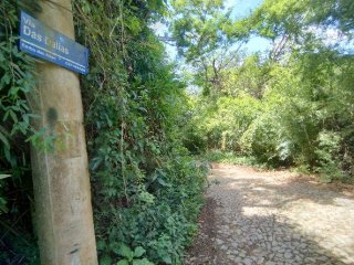 Imagem do imóvel TE76105