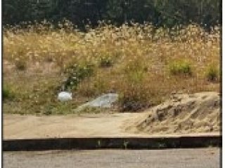 Imagem do imóvel TE69590