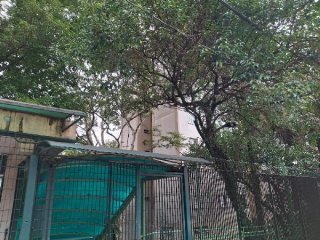 Imagem do imóvel AP08499