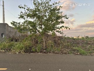 Imagem do imóvel TE02794