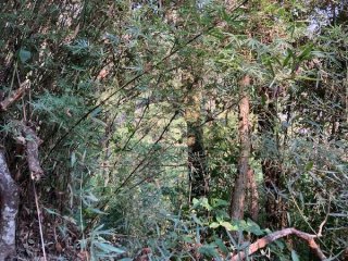 Imagem do imóvel TE99850