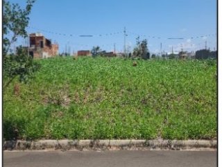 Imagem do imóvel TE21340