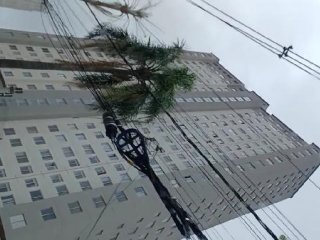 Imagem do imóvel AP49413