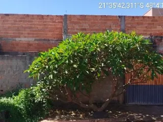 Imagem do imóvel CA96230