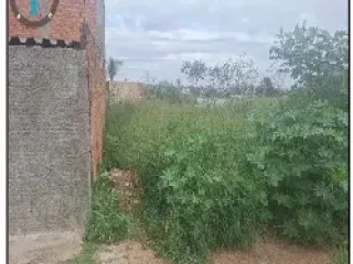 Imagem do imóvel TE35310