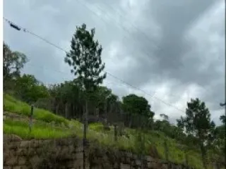 Imagem do imóvel TE79871