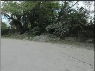 Imagem do imóvel TE85258