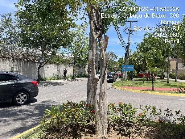 Imagem do imóvel AP12219