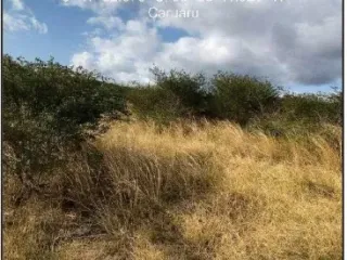 Imagem do imóvel AP75048