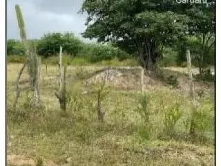 Imagem do imóvel AP94596