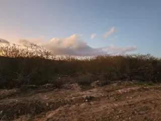 Imagem do imóvel CA52966